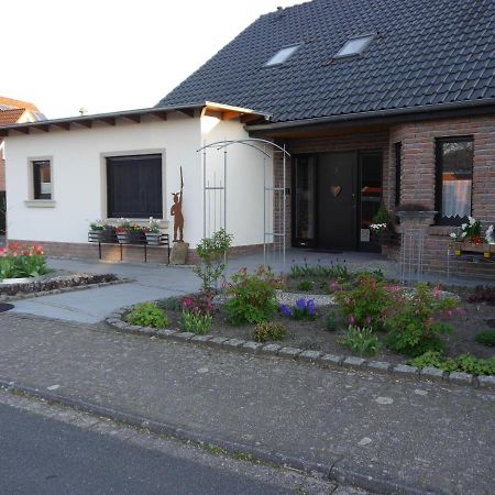 Gaestehaus Am Hermann Hörstel 外观 照片
